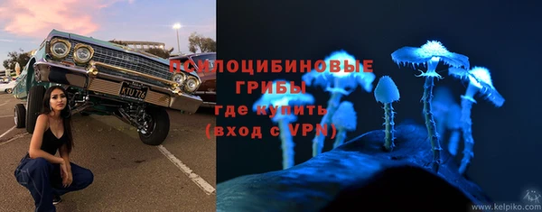 метадон Арсеньев