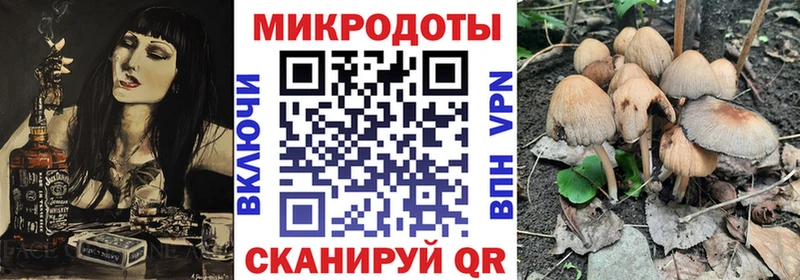 Галлюциногенные грибы Psilocybine cubensis  omg ONION  Новомосковск 
